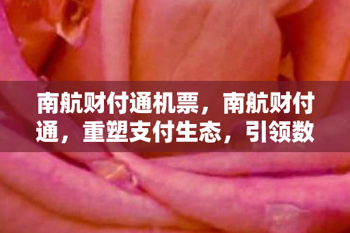 南航财付通机票，南航财付通，重塑支付生态，引领数字金融新未来