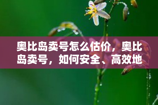 奥比岛卖号怎么估价，奥比岛卖号，如何安全、高效地出售你的游戏账号