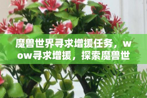 魔兽世界寻求增援任务，wow寻求增援，探索魔兽世界玩家社区的力量与团结