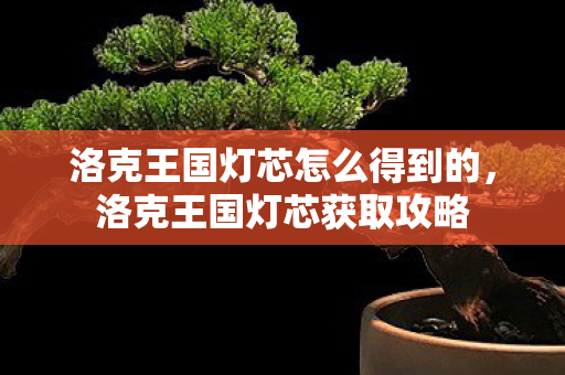 洛克王国灯芯怎么得到的，洛克王国灯芯获取攻略