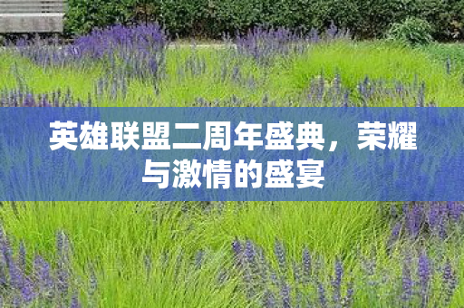 英雄联盟二周年盛典，荣耀与激情的盛宴