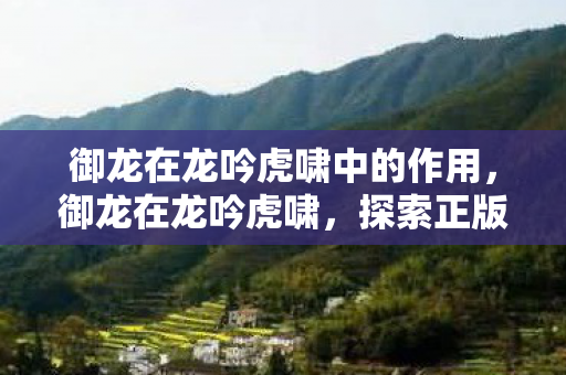 御龙在龙吟虎啸中的作用，御龙在龙吟虎啸，探索正版游戏的魅力与乐趣