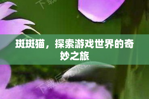 斑斑猫，探索游戏世界的奇妙之旅