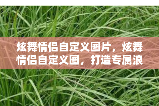 炫舞情侣自定义图片，炫舞情侣自定义图，打造专属浪漫，共舞梦幻世界
