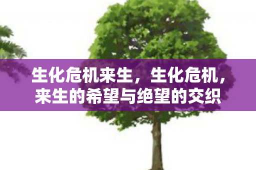 生化危机来生，生化危机，来生的希望与绝望的交织