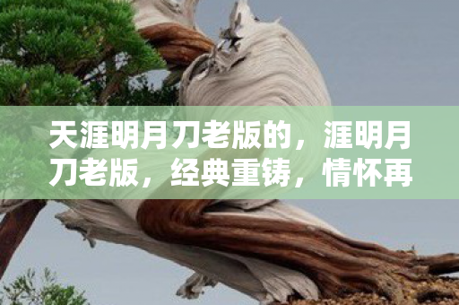 天涯明月刀老版的，涯明月刀老版，经典重铸，情怀再现