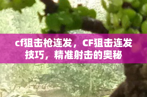 cf狙击枪连发，CF狙击连发技巧，精准射击的奥秘