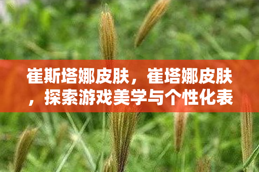 崔斯塔娜皮肤，崔塔娜皮肤，探索游戏美学与个性化表达的新境界