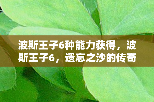 波斯王子6种能力获得，波斯王子6，遗忘之沙的传奇冒险