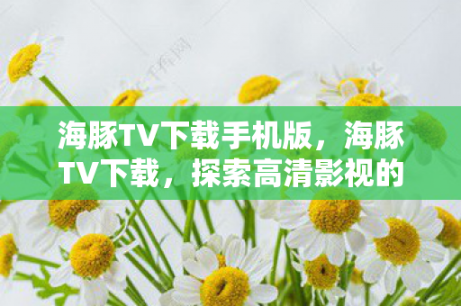 海豚TV下载手机版，海豚TV下载，探索高清影视的便捷之道