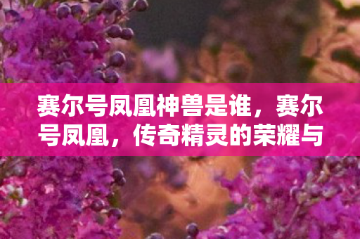 赛尔号凤凰神兽是谁，赛尔号凤凰，传奇精灵的荣耀与使命