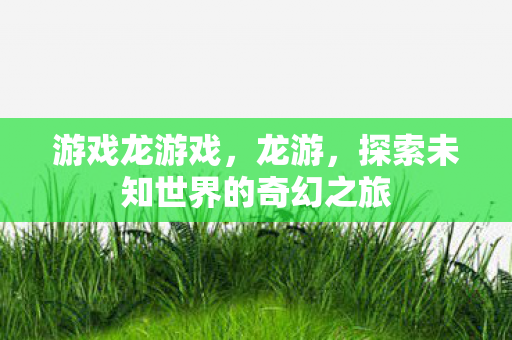 游戏龙游戏，龙游，探索未知世界的奇幻之旅