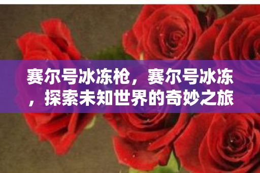 赛尔号冰冻枪，赛尔号冰冻，探索未知世界的奇妙之旅