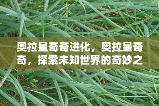 奥拉星奇奇进化，奥拉星奇奇，探索未知世界的奇妙之旅
