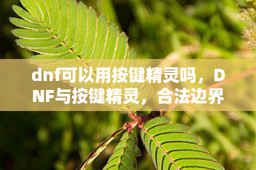 dnf可以用按键精灵吗，DNF与按键精灵，合法边界的探讨