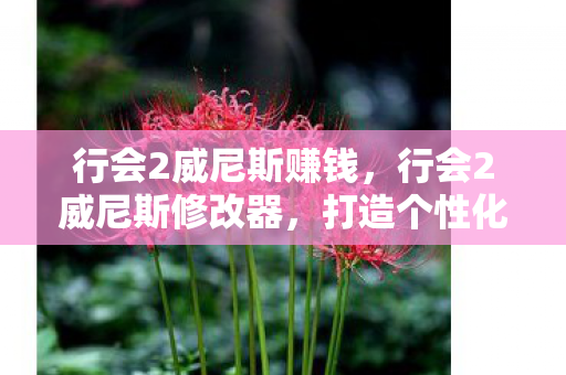 行会2威尼斯赚钱，行会2威尼斯修改器，打造个性化游戏体验的利器