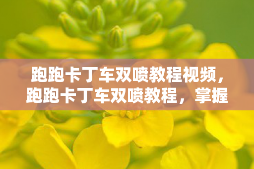 跑跑卡丁车双喷教程视频，跑跑卡丁车双喷教程，掌握技巧，提升速度