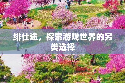 绯仕途，探索游戏世界的另类选择