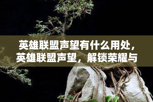 英雄联盟声望有什么用处，英雄联盟声望，解锁荣耀与特权的钥匙