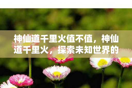 神仙道千里火值不值，神仙道千里火，探索未知世界的奇幻之旅