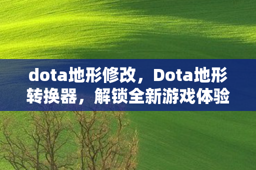 dota地形修改，Dota地形转换器，解锁全新游戏体验的神奇工具