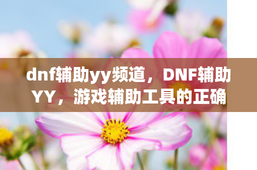 dnf辅助yy频道，DNF辅助YY，游戏辅助工具的正确使用与风险规避