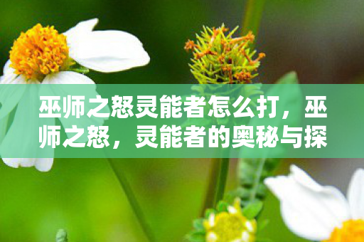巫师之怒灵能者怎么打，巫师之怒，灵能者的奥秘与探索