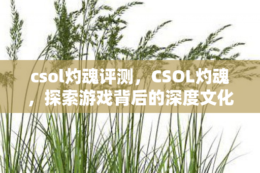 csol灼魂评测，CSOL灼魂，探索游戏背后的深度文化与玩家社群