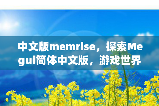 中文版memrise，探索Megui简体中文版，游戏世界的便捷之门