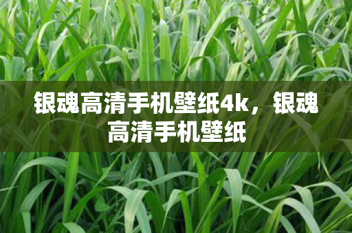 银魂高清手机壁纸4k，银魂高清手机壁纸