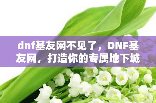 dnf基友网不见了，DNF基友网，打造你的专属地下城与勇士社交圈