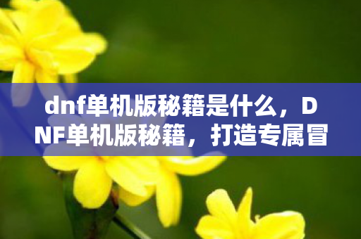 dnf单机版秘籍是什么，DNF单机版秘籍，打造专属冒险之旅