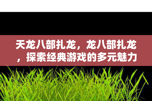 天龙八部扎龙，龙八部扎龙，探索经典游戏的多元魅力