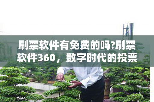 刷票软件有免费的吗?刷票软件360，数字时代的投票利器
