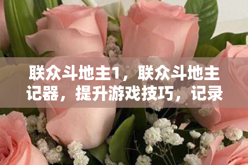 联众斗地主1，联众斗地主记器，提升游戏技巧，记录精彩瞬间
