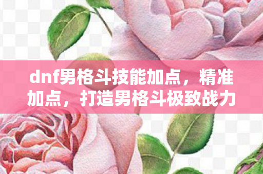 dnf男格斗技能加点，精准加点，打造男格斗极致战力
