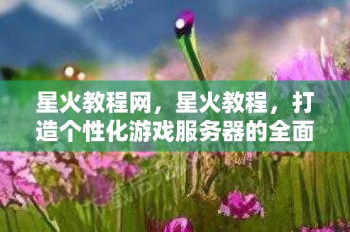 星火教程网，星火教程，打造个性化游戏服务器的全面指南