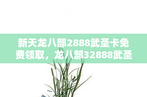 新天龙八部2888武圣卡免费领取，龙八部32888武圣卡免费领取，畅游经典，尽享特权！