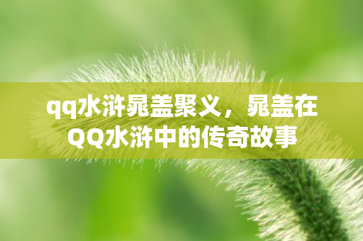 qq水浒晁盖聚义，晁盖在QQ水浒中的传奇故事