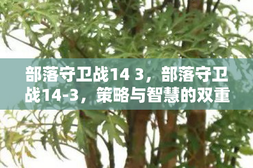 部落守卫战14 3，部落守卫战14-3，策略与智慧的双重挑战