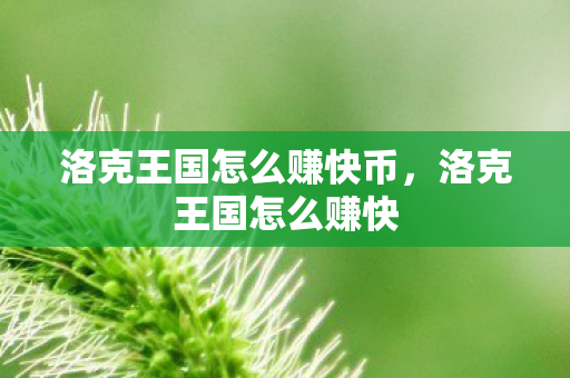 洛克王国怎么赚快币，洛克王国怎么赚快