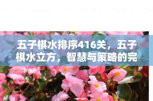 五子棋水排序416关，五子棋水立方，智慧与策略的完美融合