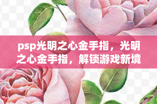 psp光明之心金手指，光明之心金手指，解锁游戏新境界的神奇钥匙