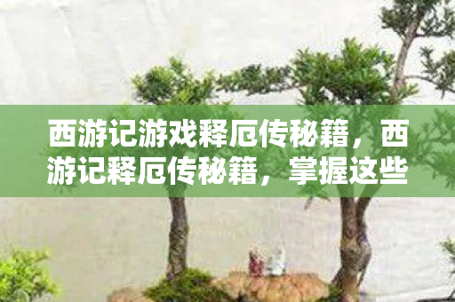 西游记游戏释厄传秘籍，西游记释厄传秘籍，掌握这些技巧，轻松通关