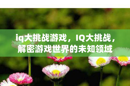 iq大挑战游戏，IQ大挑战，解密游戏世界的未知领域
