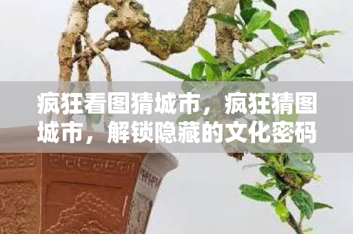 疯狂看图猜城市，疯狂猜图城市，解锁隐藏的文化密码