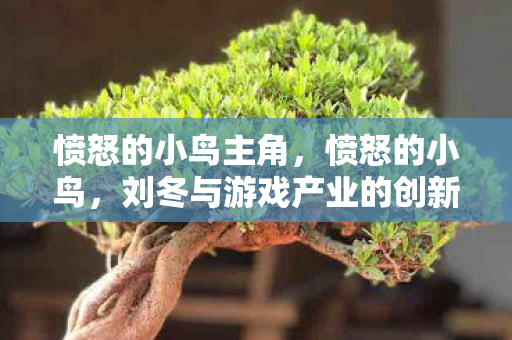 愤怒的小鸟主角，愤怒的小鸟，刘冬与游戏产业的创新之路