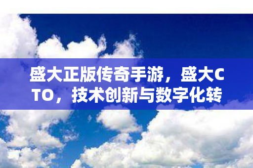 盛大正版传奇手游，盛大CTO，技术创新与数字化转型的引领者