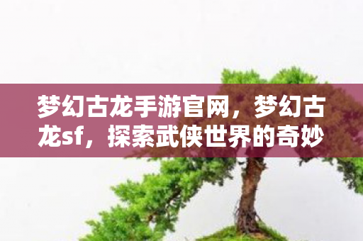 梦幻古龙手游官网，梦幻古龙sf，探索武侠世界的奇妙之旅