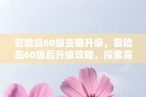 冒险岛60级去哪升级，冒险岛60级后升级攻略，探索高效提升之路